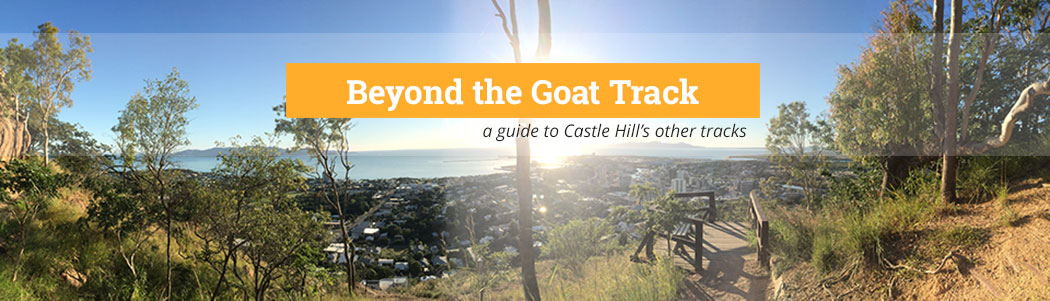 Beyond the Goat Track: The Lesser-Known Tracks of Castle Hill
